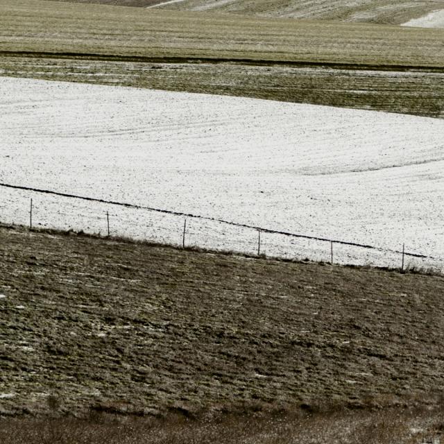 A snowfall (20)
